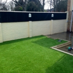 grass 1